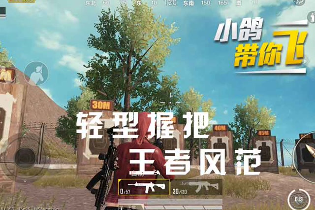 小鸽带你飞 轻型握把 王者风范免费观看