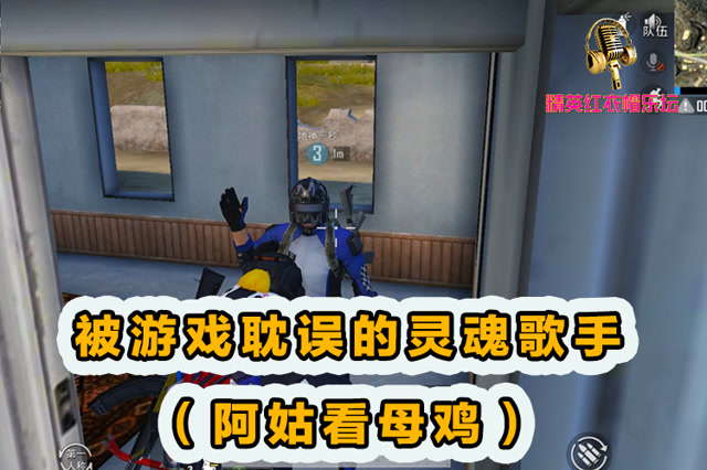 精英小技巧：被游戏耽误的灵魂歌手[阿姑看母鸡]！免费观看