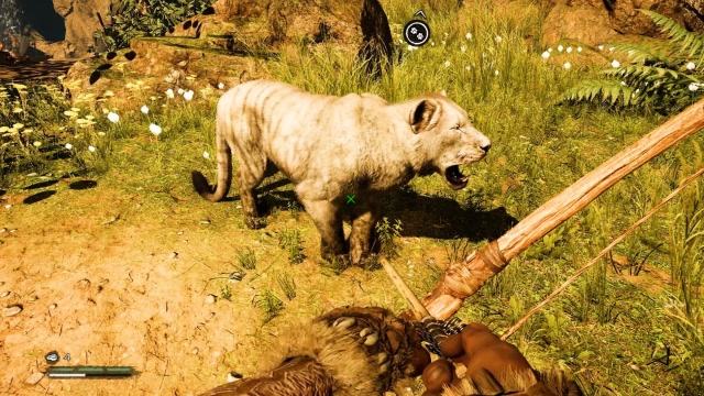 帝哥历险记：孤岛求生11，带领大白狮子王，进攻瀑布野人部落免费观看