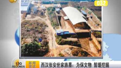 西汉张安世家族墓:为保文物 暂缓挖掘 - 腾讯视频