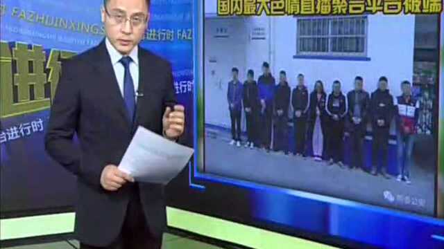 国内最大色情直播聚合平台被端