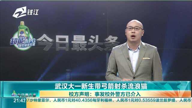 武汉大一新生带弓箭射杀流浪猫 校方声明 事发校外警方已介入