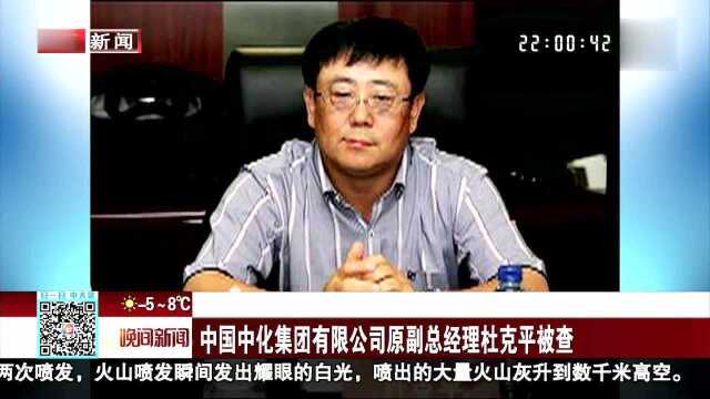 中国中化集团有限公司原副总经理杜克平被查