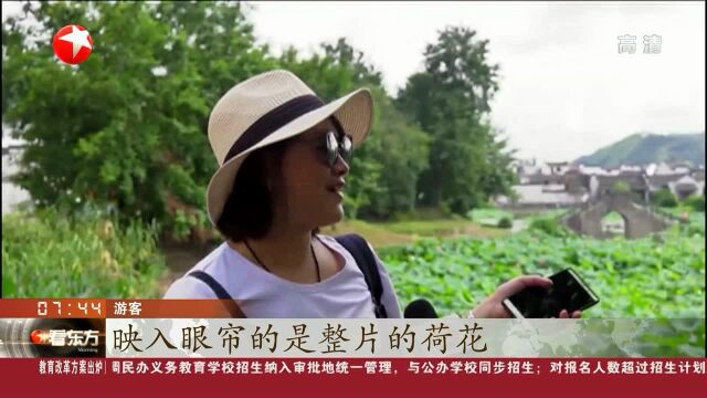 安徽黄山:千年古村落呈坎 夏荷初放景更美