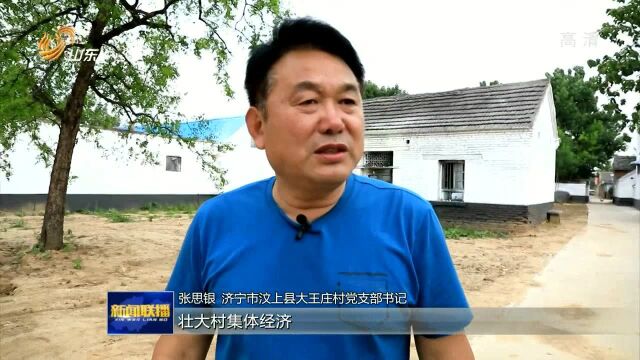 山东:盘活闲置资源 让沉睡资产变成增收活水