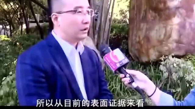 专家:卖“猪”赚钱 平台涉嫌欺诈