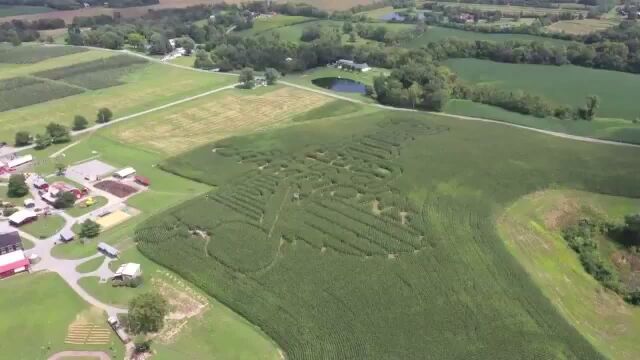 真自然艺术!大片玉米地内刻画出NHL总冠军队与斯坦利杯独特logo