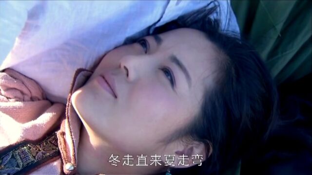 胡杨女人22精彩片段