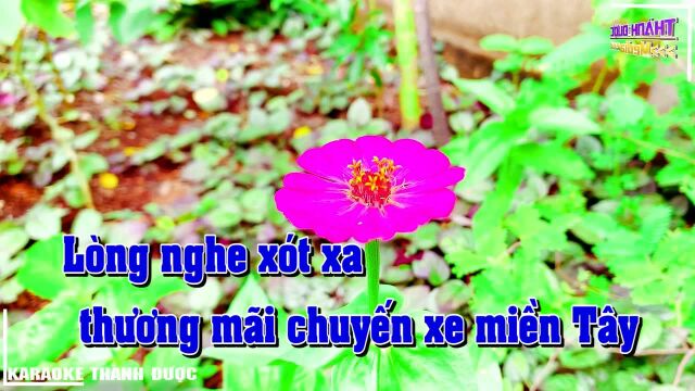 Chuyến Xe Miền T㢹  Tone Nam