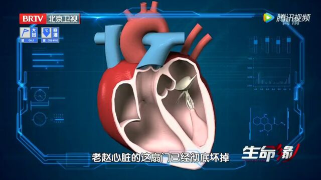 后山的女人——孤独与坚强的背影