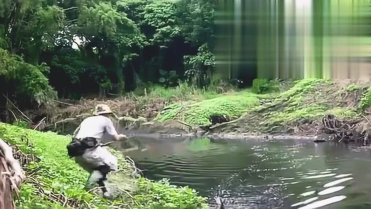 Thumbplayer Poster Plugin Image