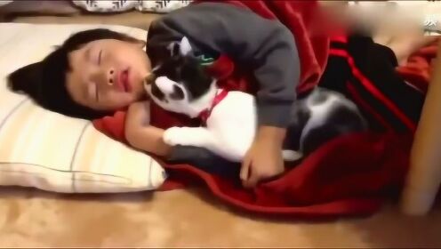 猫咪趁着小主人睡着，又亲又摸，妈妈看得直乐！