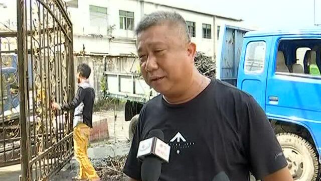 和平镇:整环境清溪河 净化美化环境