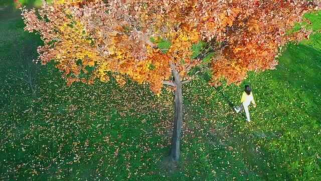 太阳岛秋色正浓