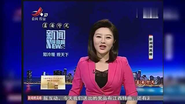 南昌绳金塔庙会:学棕编 感受“指上非遗”