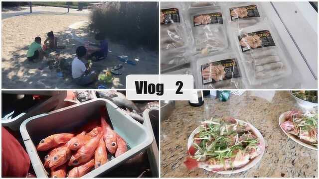 Vlog2 公园玩耍/去罗兰岗/鱼市买鱼