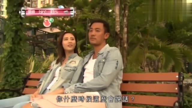 特技人大结局08 May猪受重伤,只能靠轮椅代步