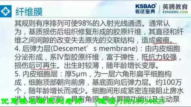 2019年主治医师考试:眼科学眼球的解剖和生理纤维膜