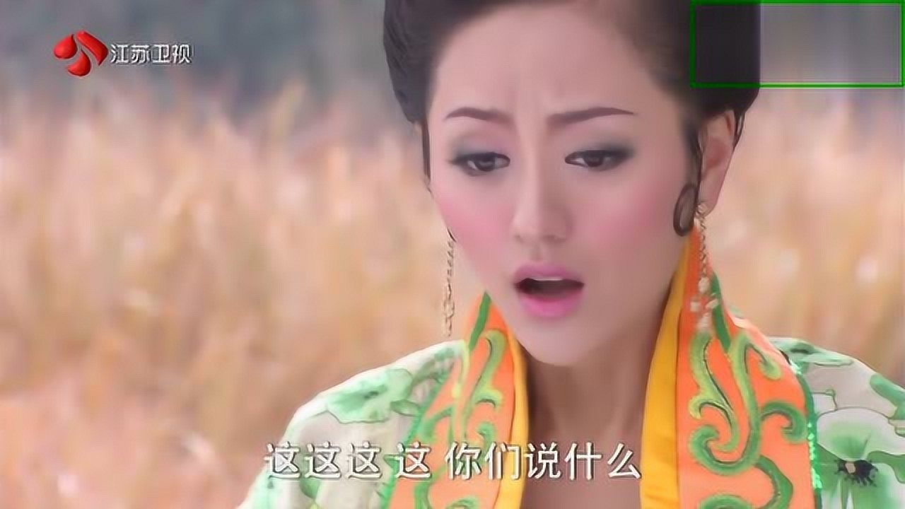 活佛济公庄红杏害死婆婆广亮和必清这话不能乱说啊
