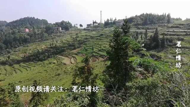 四川偏远山区农村, 如此美丽的乡村风光, 农哥真实拍摄