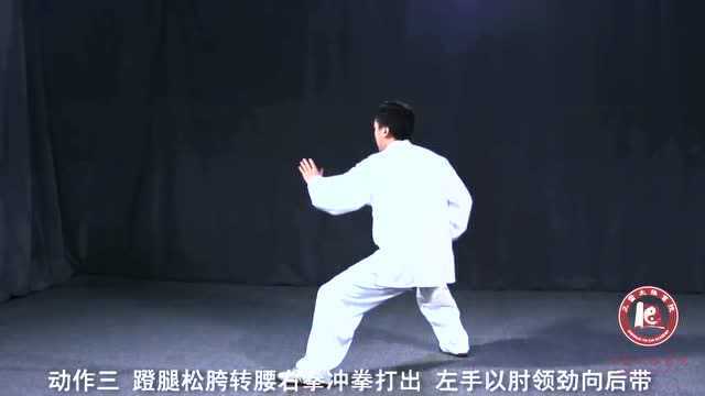 陈氏太极拳老架一路陈斌教学第二十四式:掩手肱拳