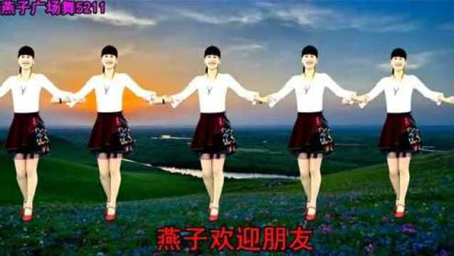 燕子广场舞《康巴情》演唱: 廖芊芊 附分解动作 简单好学 民族歌曲