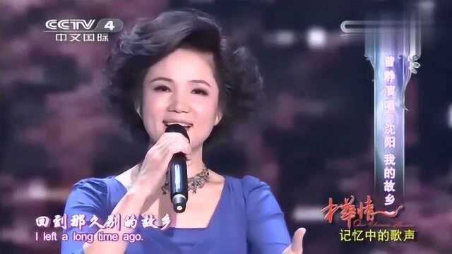 中华情:曹静演唱《沈阳我的故乡》,一首怀旧的知青歌曲!