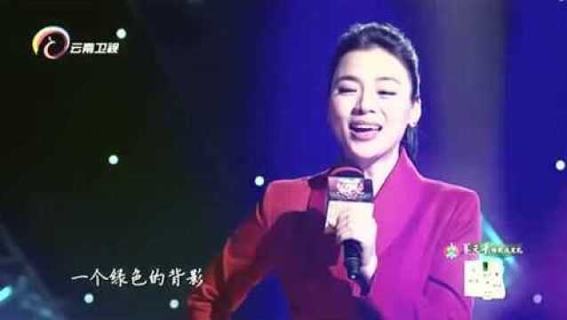 中国情歌汇:陈思思精彩演唱《绿色背影》送给亲爱的战友,太好听