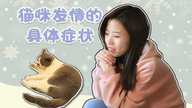 你家的猫主子发情了吗?你知道猫咪发情的具体症状吗?