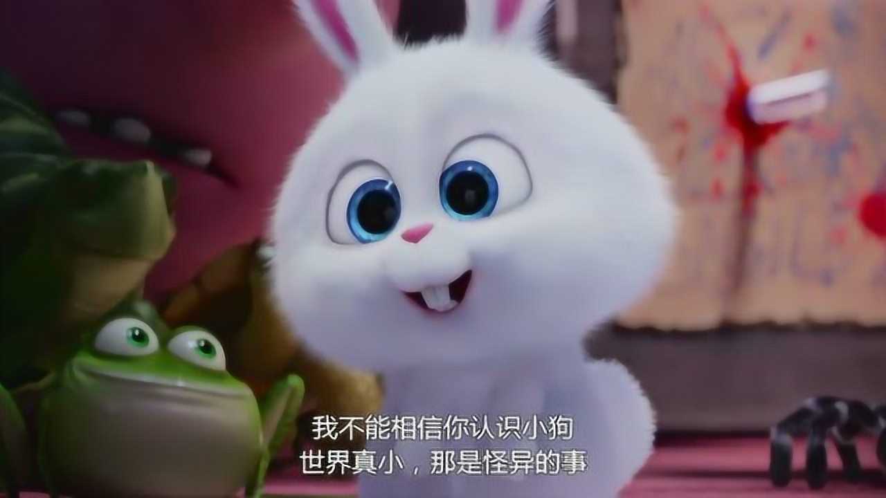 爱宠大机密兔老大的性格真是阴晴不定的可爱