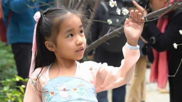 来广州梅花村赏“雪”,梅花盛放香扑鼻,市民踏“雪”寻梅忙拍照