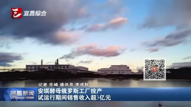 安琪酵母俄罗斯工厂投产 试运行期间销售收入超3亿元