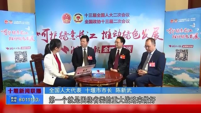 陈新武做客湖北日报北京演播室,谈生态优先,话绿色发展