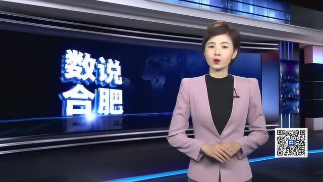 190319数说合肥改