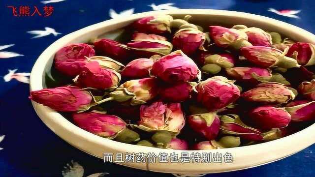 茉莉花功效作用丰富,它和什么搭配泡茶效果更好,有何禁忌?