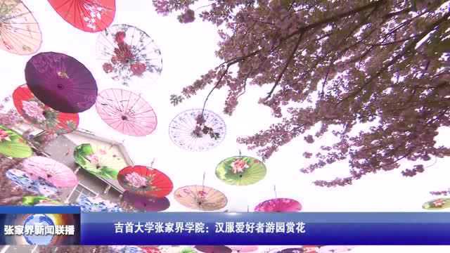 张家界新闻联播:吉首大学张家界学院:汉服爱好者游园赏花