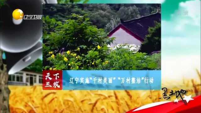 辽宁实施“千村美丽,万村整洁”行动