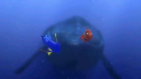海底总动员 预告片2：3D重映版