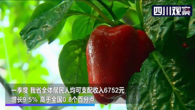 6752元! 一季度四川人均可支配收入高出全国平均水平