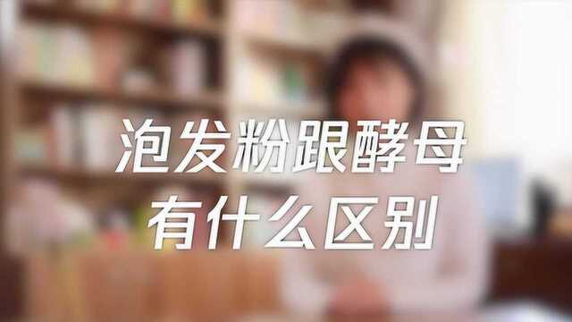 泡发粉和酵母有什么区别