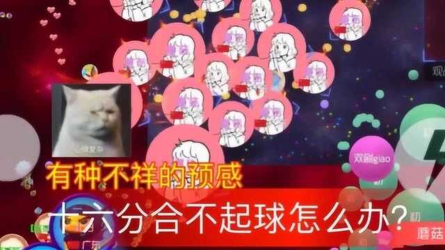 球球大作战蘑菇:十六分合不起球怎么办?看到对手的操作,好搞笑!