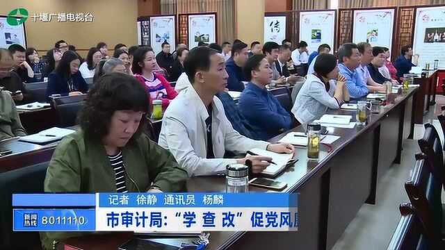 十堰市审计局:“学查改” 促党风廉政宣教月落到实处