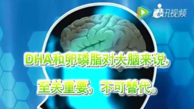 卵磷脂和DHA的区别,两者不可替代