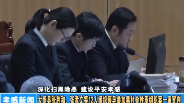 大悟县张胜和、张孝文等组织领导参加黑社会性质组织案一审宣判