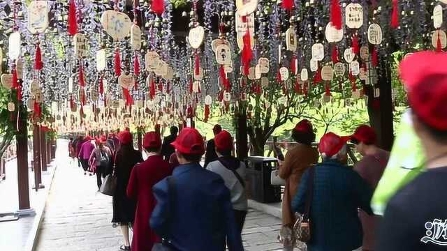 游视界—神奇的太极洞之旅