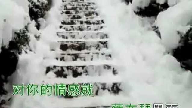 大庆小芳一首情意绵绵的对唱歌曲《胡琴情缘》,好听分享