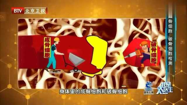 成骨细胞和破骨细胞到底有什么不同?专家:看看这个图