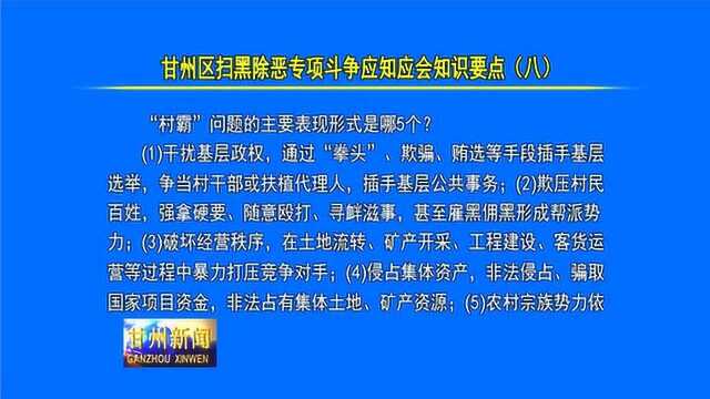 甘州区扫黑除恶专项斗争应知应会知识要点 八