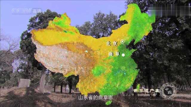 大美中华带你一起在中国的世界遗产:曲阜孔庙、孔林、孔府