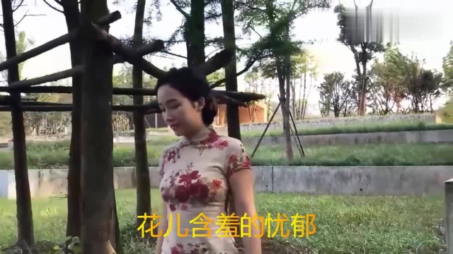 一首谢军的《山谷里的思念》,旋律唯美,韵味十足,醉人醉心!